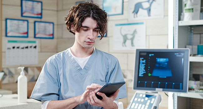 Vet working on tablet