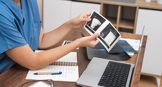 Vet doing ultrasound